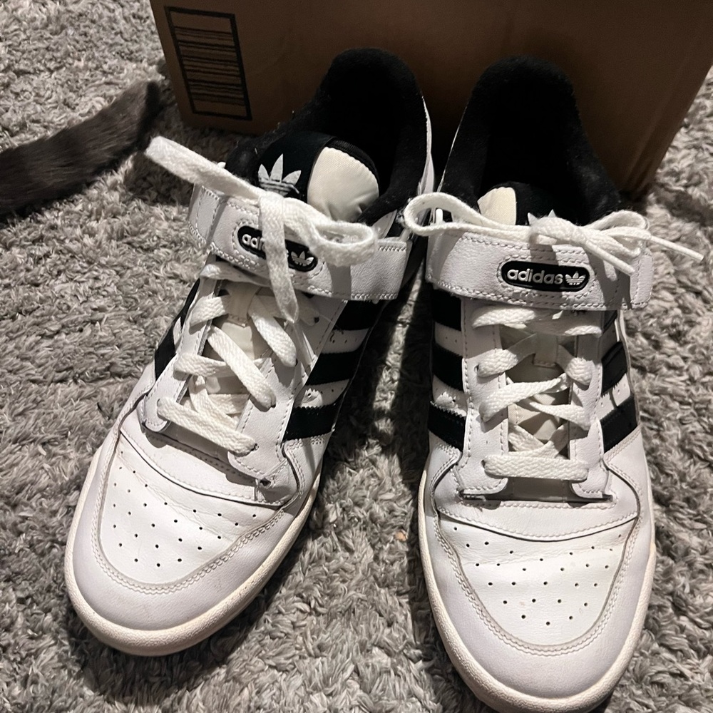 Adidas Forum Low White and Black Sneakers